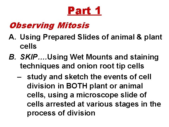 Part 1 Observing Mitosis A. Using Prepared Slides of animal & plant cells B.