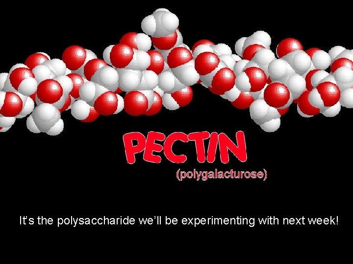 It’s the polysaccharide we’ll be experimenting with next week! 