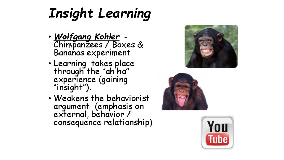 Insight Learning • Wolfgang Kohler Chimpanzees / Boxes & Bananas experiment • Learning takes