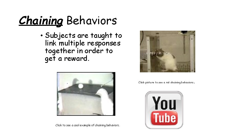 Chaining Behaviors • Subjects are taught to link multiple responses together in order to