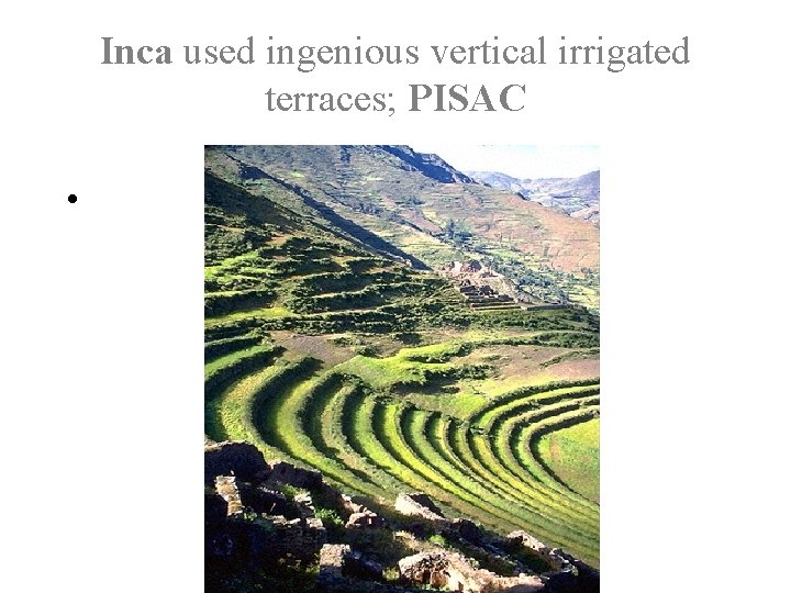 Inca used ingenious vertical irrigated terraces; PISAC • 