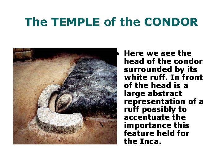 The TEMPLE of the CONDOR • • Here we see the head of the