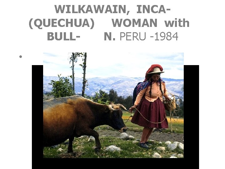 WILKAWAIN, INCA(QUECHUA) WOMAN with BULLN. PERU -1984 • 