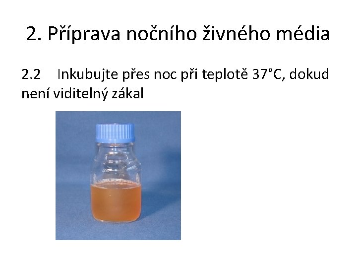 2. Příprava nočního živného média 2. 2 Inkubujte přes noc při teplotě 37°C, dokud