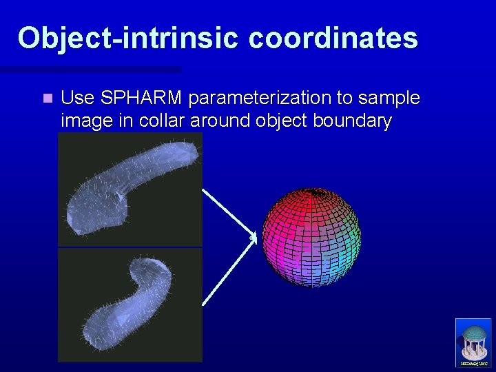 Object-intrinsic coordinates n Use SPHARM parameterization to sample image in collar around object boundary