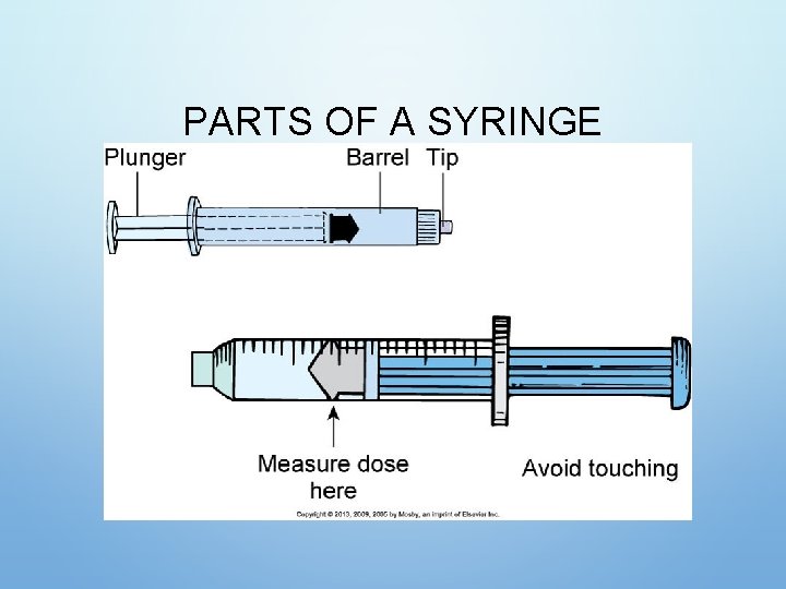PARTS OF A SYRINGE PARTS OF A SYRINGE
