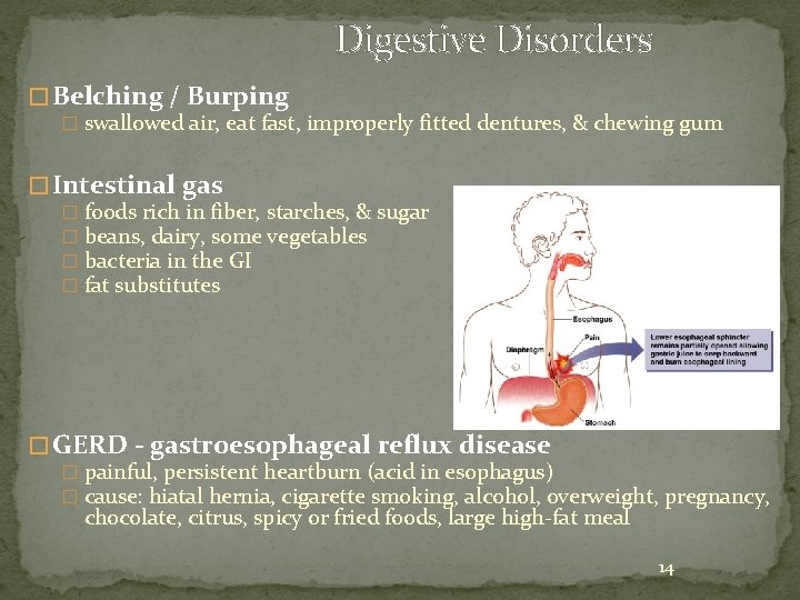 Digestive Disorders � Belching / Burping � swallowed air, eat fast, improperly fitted dentures,