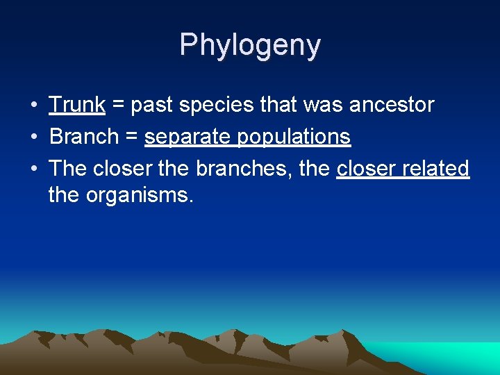 Phylogeny • Trunk = past species that was ancestor • Branch = separate populations