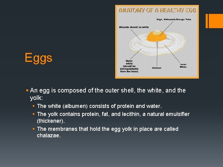 Eggs § An egg is composed of the outer shell, the white, and the