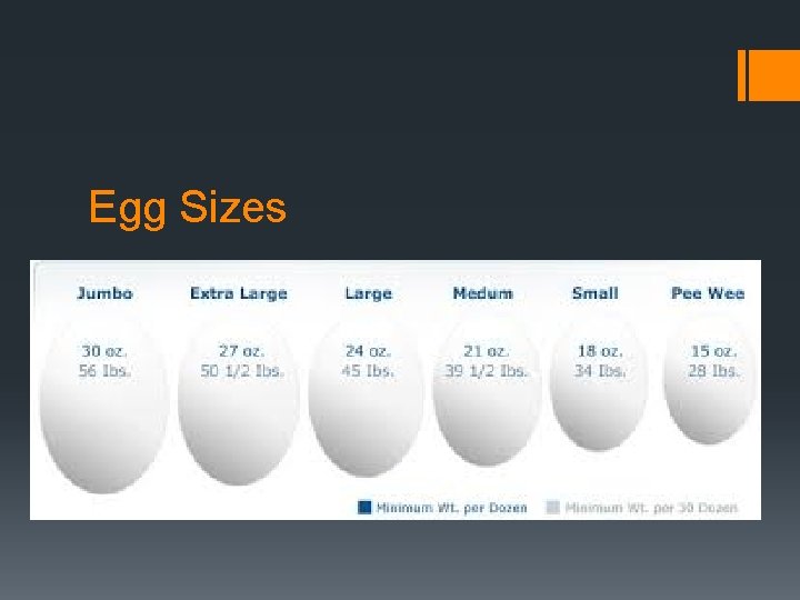 Egg Sizes 