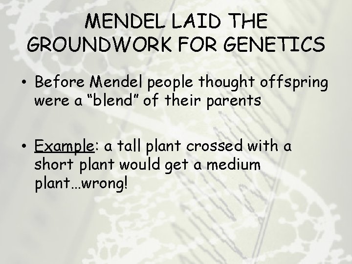 MENDEL LAID THE GROUNDWORK FOR GENETICS • Before Mendel people thought offspring were a