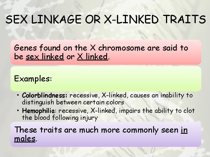 SEX LINKAGE OR X-LINKED TRAITS Genes found on the X chromosome are said to