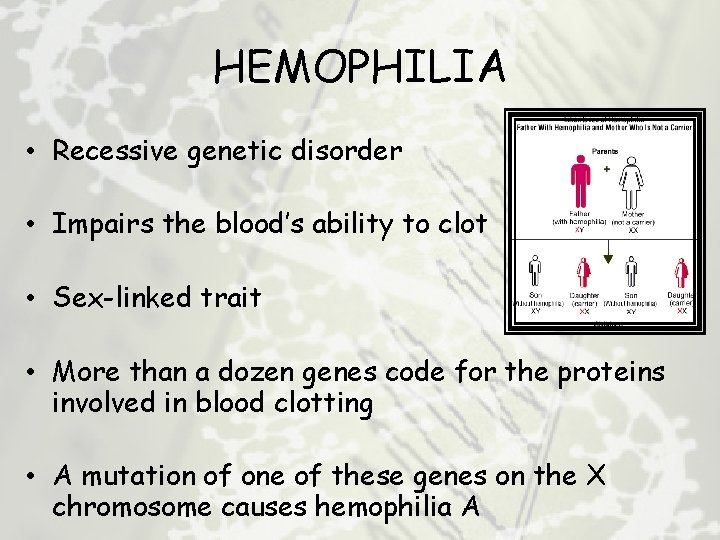 HEMOPHILIA • Recessive genetic disorder • Impairs the blood’s ability to clot • Sex-linked
