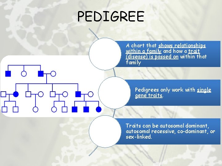 PEDIGREE A chart that shows relationships within a family and how a trait (disease)