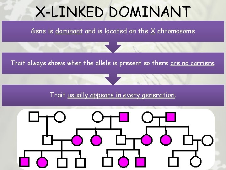 X-LINKED DOMINANT Gene is dominant and is located on the X chromosome Trait always
