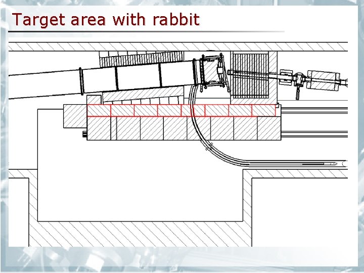 Target area with rabbit 