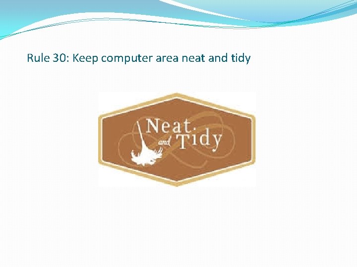 Rule 30: Keep computer area neat and tidy 
