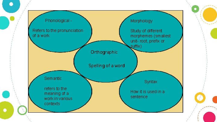 Phonological - Morphology Refers to the pronunciation of a work Study of different morphemes