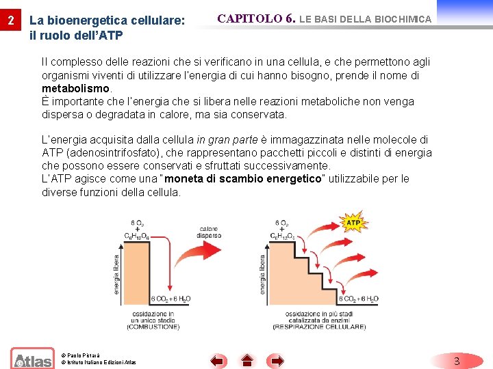 2 La bioenergetica cellulare: il ruolo dell’ATP CAPITOLO 6. LE BASI DELLA BIOCHIMICA Il