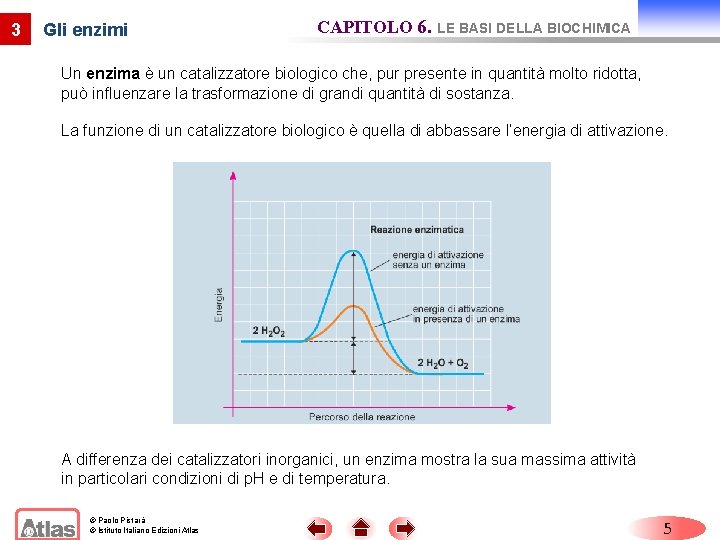 3 Gli enzimi CAPITOLO 6. LE BASI DELLA BIOCHIMICA Un enzima è un catalizzatore