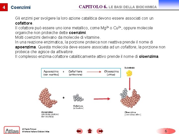 4 Coenzimi CAPITOLO 6. LE BASI DELLA BIOCHIMICA Gli enzimi per svolgere la loro