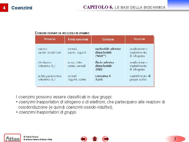 4 Coenzimi CAPITOLO 6. LE BASI DELLA BIOCHIMICA I coenzimi possono essere classificati in