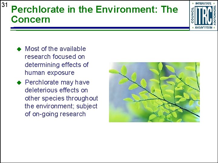 31 Perchlorate in the Environment: The Concern u u Most of the available research