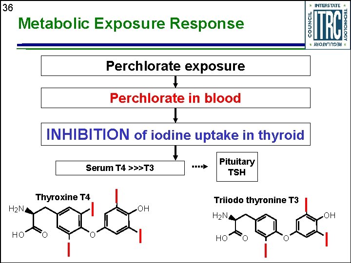 36 Metabolic Exposure Response Perchlorate exposure Perchlorate in blood INHIBITION of iodine uptake in