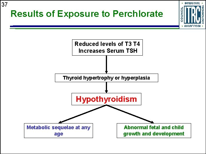 37 Results of Exposure to Perchlorate Reduced levels of T 3 T 4 Increases