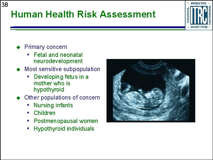 38 Human Health Risk Assessment u u u Primary concern • Fetal and neonatal