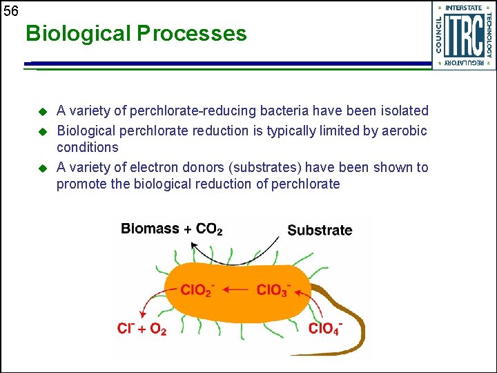 56 Biological Processes u u u A variety of perchlorate-reducing bacteria have been isolated