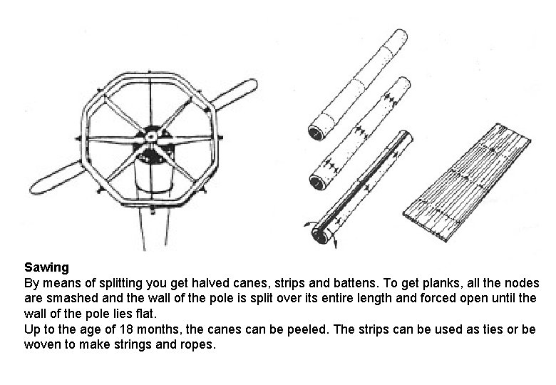 Sawing By means of splitting you get halved canes, strips and battens. To get