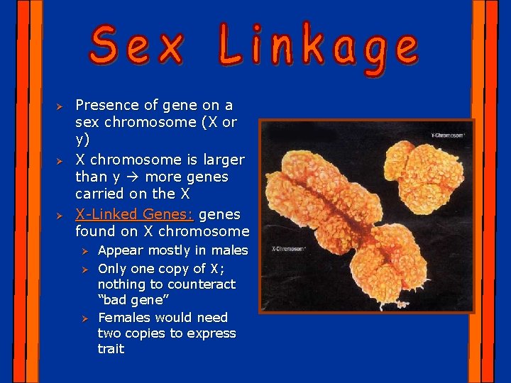 Ø Ø Ø Presence of gene on a sex chromosome (X or y) X