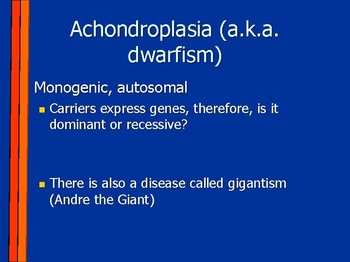 Achondroplasia (a. k. a. dwarfism) n Monogenic, autosomal n n Carriers express genes, therefore,