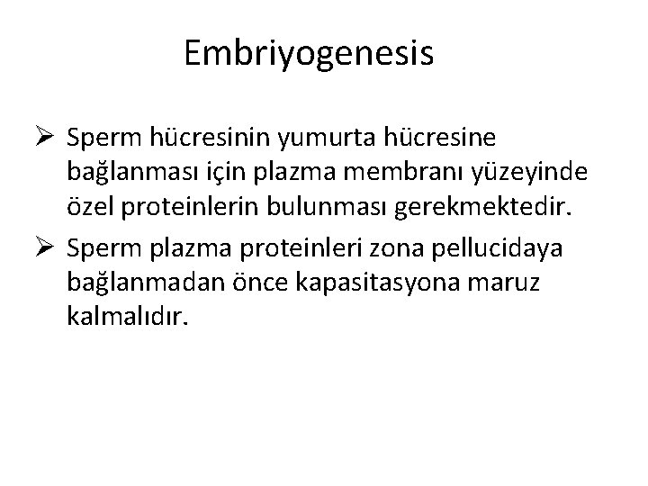 Embriyogenesis Ø Sperm hücresinin yumurta hücresine bağlanması için plazma membranı yüzeyinde özel proteinlerin bulunması