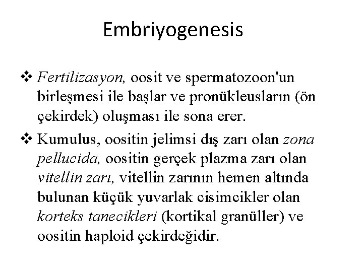 Embriyogenesis v Fertilizasyon, oosit ve spermatozoon'un birleşmesi ile başlar ve pronükleusların (ön çekirdek) oluşması