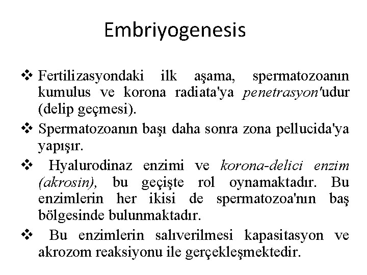Embriyogenesis v Fertilizasyondaki ilk aşama, spermatozoanın kumulus ve korona radiata'ya penetrasyon'udur (delip geçmesi). v