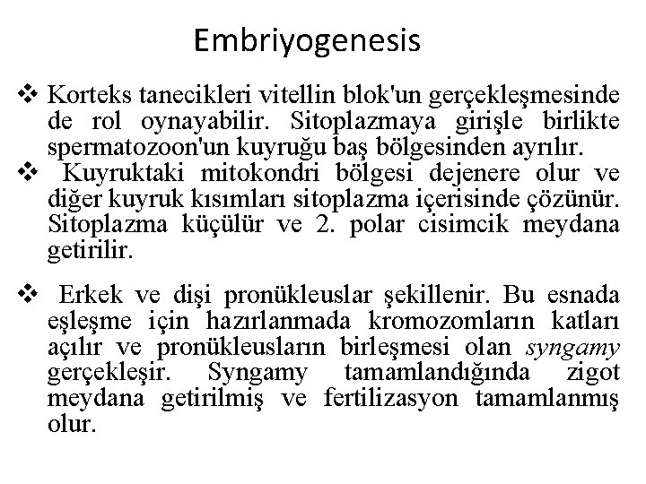 Embriyogenesis v Korteks tanecikleri vitellin blok'un gerçekleşmesinde de rol oynayabilir. Sitoplazmaya girişle birlikte spermatozoon'un