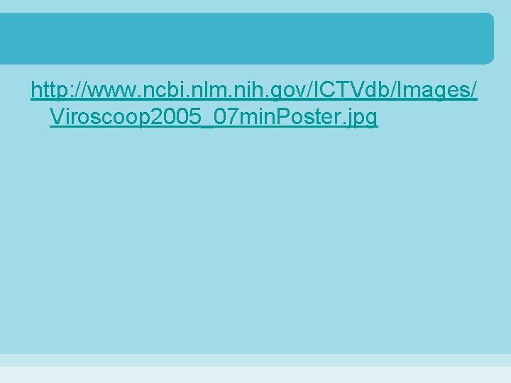 http: //www. ncbi. nlm. nih. gov/ICTVdb/Images/ Viroscoop 2005_07 min. Poster. jpg 
