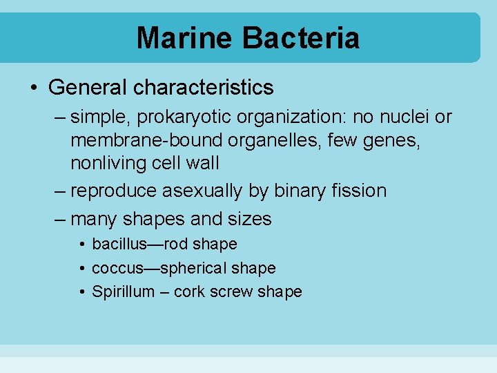 Marine Bacteria • General characteristics – simple, prokaryotic organization: no nuclei or membrane-bound organelles,