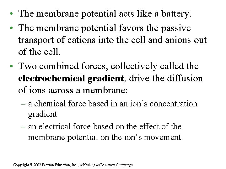  • The membrane potential acts like a battery. • The membrane potential favors