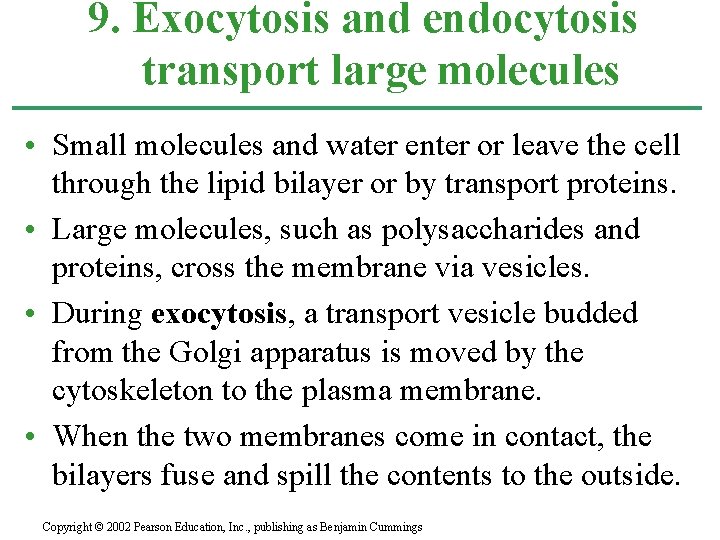 9. Exocytosis and endocytosis transport large molecules • Small molecules and water enter or