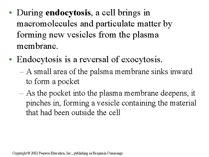  • During endocytosis, a cell brings in macromolecules and particulate matter by forming