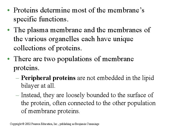  • Proteins determine most of the membrane’s specific functions. • The plasma membrane