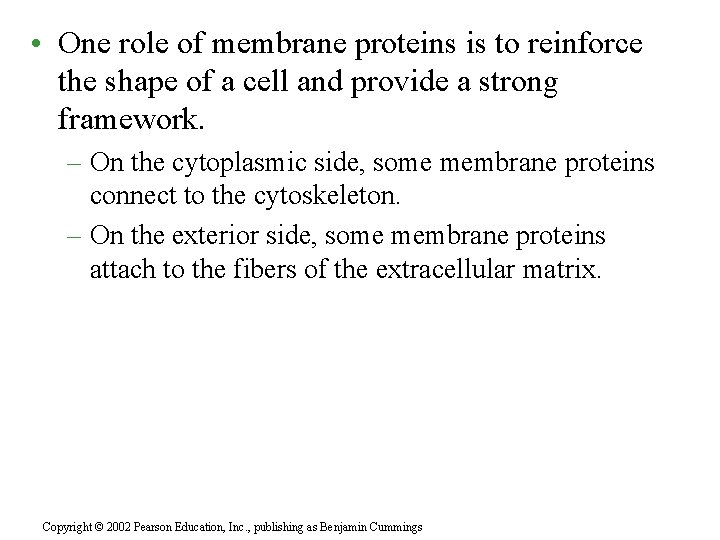  • One role of membrane proteins is to reinforce the shape of a