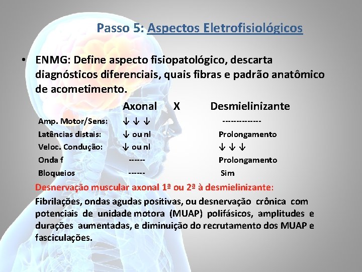 Passo 5: Aspectos Eletrofisiológicos • ENMG: Define aspecto fisiopatológico, descarta diagnósticos diferenciais, quais fibras