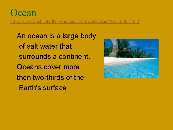 Ocean http: //www. enchantedlearning. com/subjects/ocean/Oceanlife. shtml n n n An ocean is a large