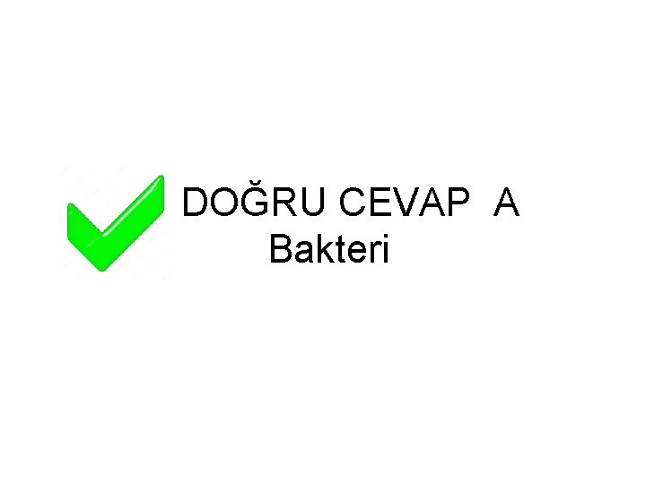 DOĞRU CEVAP A Bakteri 