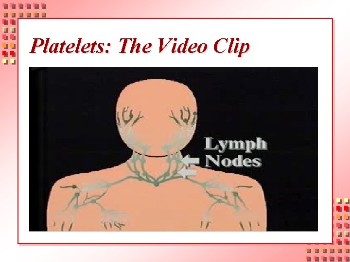 Platelets: The Video Clip 