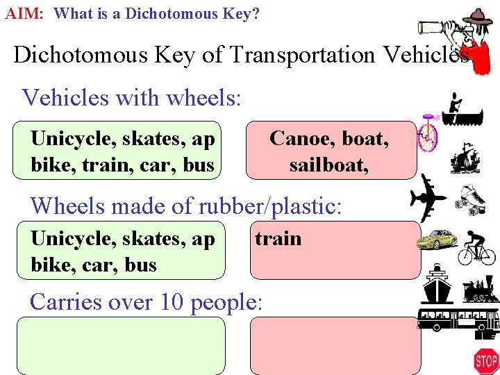 AIM: What is a Dichotomous Key? Dichotomous Key of Transportation Vehicles with wheels: Unicycle,